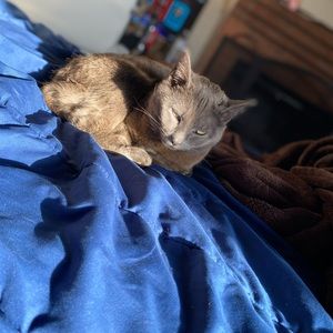 Meet your Posher, Sebastian